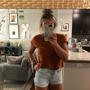 Zara Cropped Tee in Rust Color Sz M